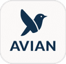Avian